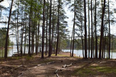 View of Lake Allatoona from the EMREC property